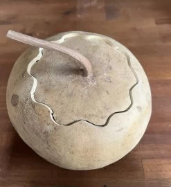 Garden Fresh Shop -Garden Fresh Shop 0EC3CB77 AB13 4478 BD6C 2A59B5D8A798