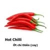 Hot Chillies Seeds 1 Hot Chillies Seeds -Garden Fresh Shop 1D649AB2 DD1D 4F69 AA15 B5F1631DB2BA