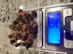 Organic Nasturtiums – Orange Bloomers Seeds -Garden Fresh Shop 20201107 011345