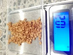 Organic Asian Thai Eggplant – Round Green Large Seeds -Garden Fresh Shop 20201107 014502