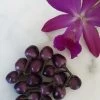Purple Prince – C. Annum. Seeds -Garden Fresh Shop 20210221 105500 scaled 1