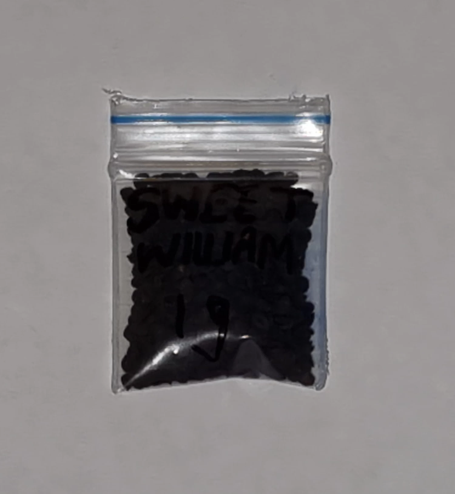 Organic Sweet William Mix (Dianthus Barbatus) Seeds 4 Organic Sweet William Mix (Dianthus Barbatus) Seeds - Image 2