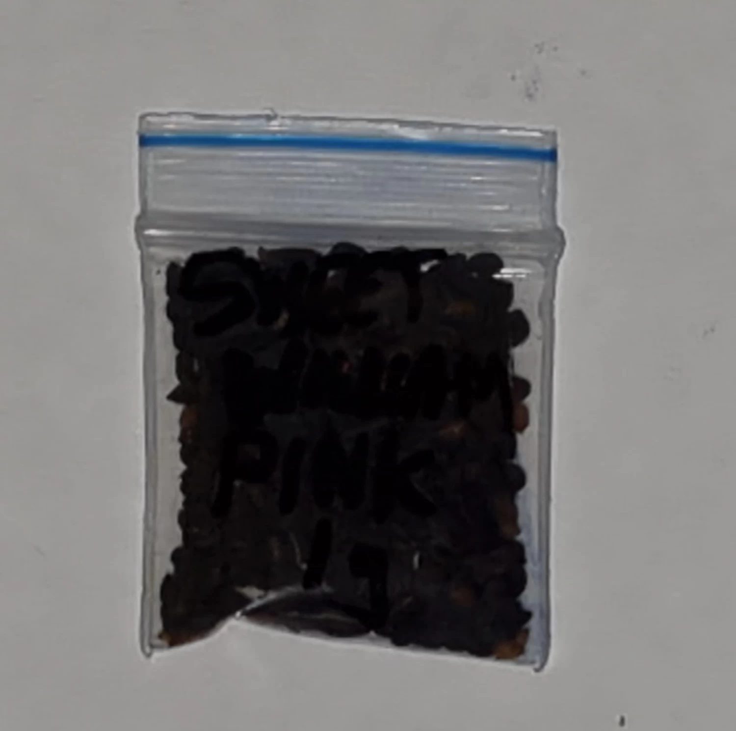 Organic Sweet William China Pink (Dianthus Barbatus) Seeds 4 Organic Sweet William China Pink (Dianthus Barbatus) Seeds - Image 2