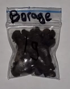 Organic Blue Borage Seeds 5 Organic Blue Borage Seeds -Garden Fresh Shop 20221115 230732