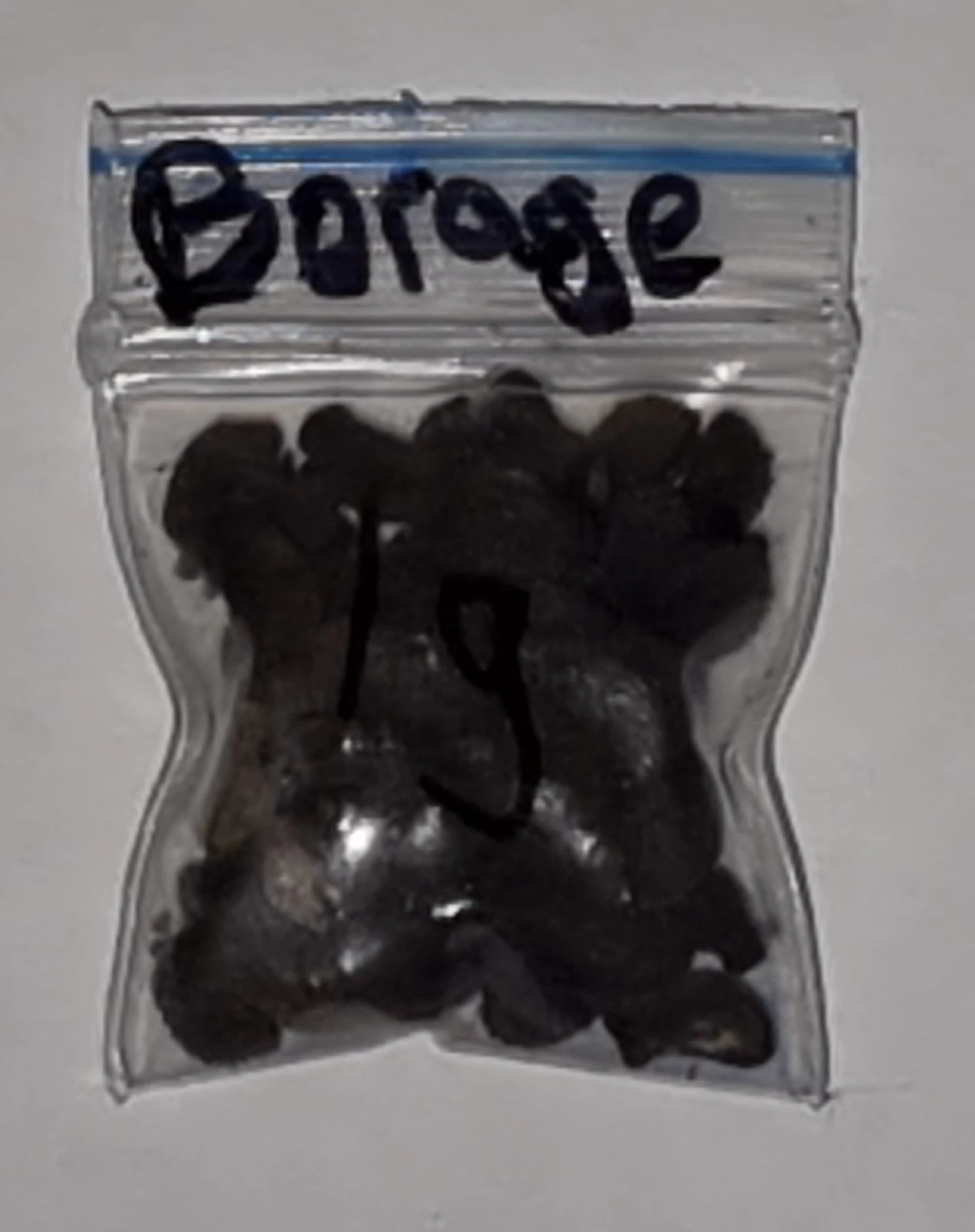 Organic Blue Borage Seeds 4 Organic Blue Borage Seeds - Image 2