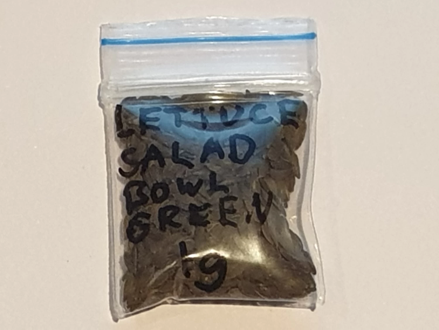 Organic Lettuce Salad Bowl Green Seeds 4 Organic Lettuce Salad Bowl Green Seeds - Image 2