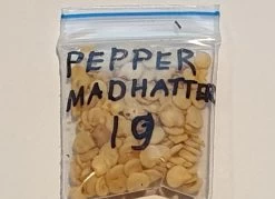 Organic Pepper Madhatter Seeds 7 Organic Pepper Madhatter Seeds -Garden Fresh Shop 20230510 212150 1