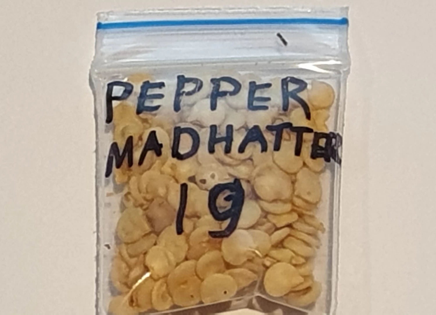 Organic Pepper Madhatter Seeds 5 Organic Pepper Madhatter Seeds - Image 3
