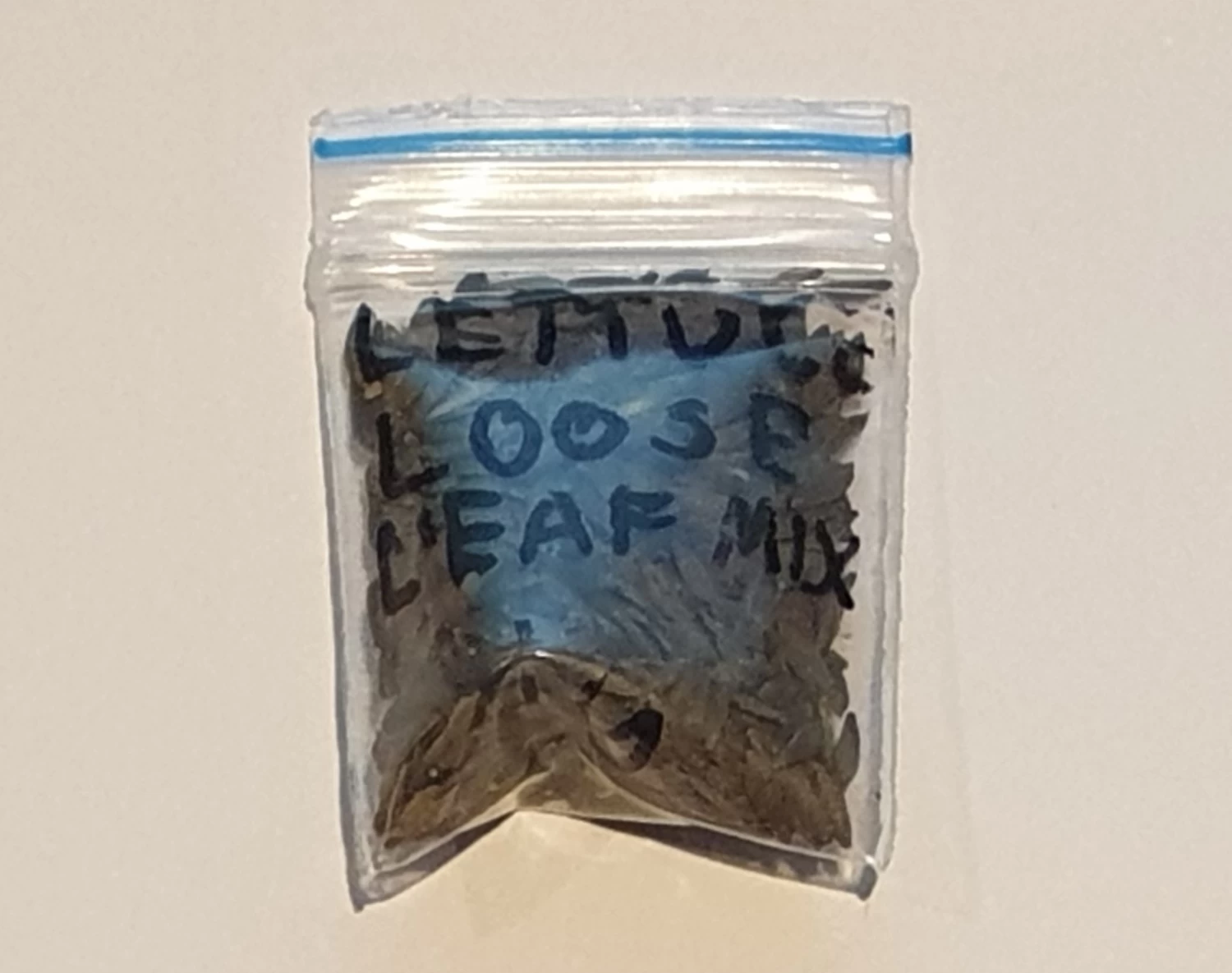 Organic Lettuce Loose Leaf Mix Seeds 4 Organic Lettuce Loose Leaf Mix Seeds - Image 2