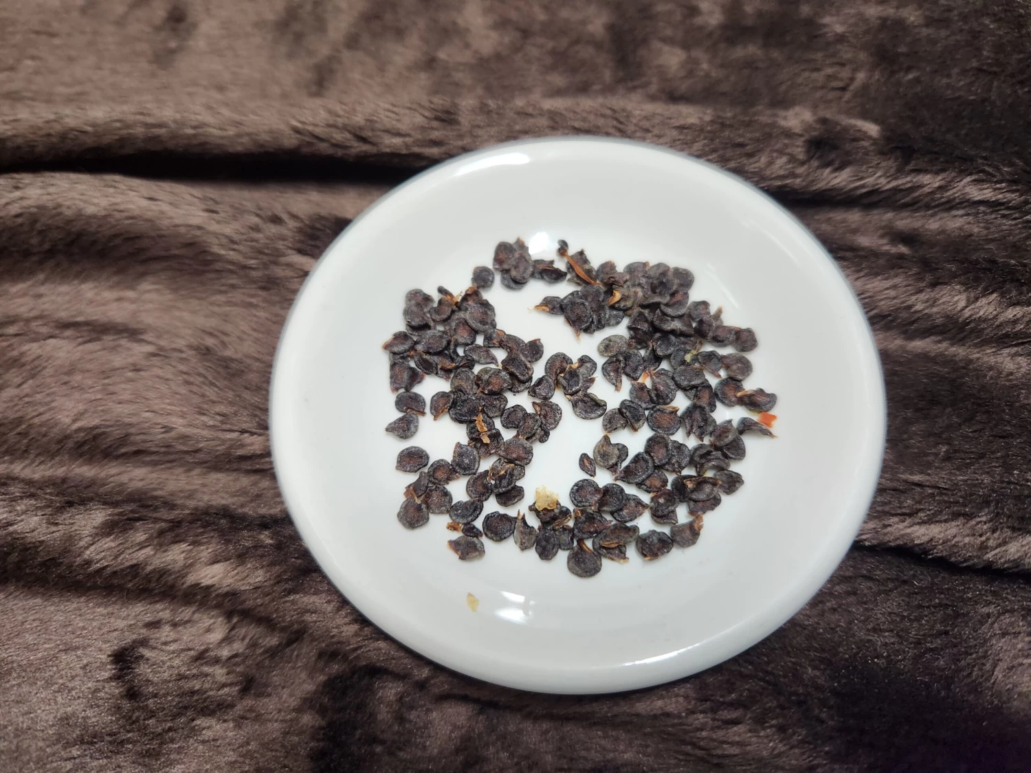 Chilli – Rocoto Manzano Red Seeds 3 Chilli – Rocoto Manzano Red Seeds