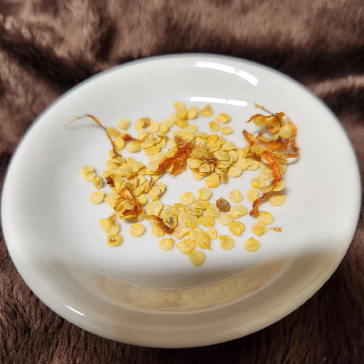 Chilli – Birds Eye Seeds 3 Chilli – Birds Eye Seeds