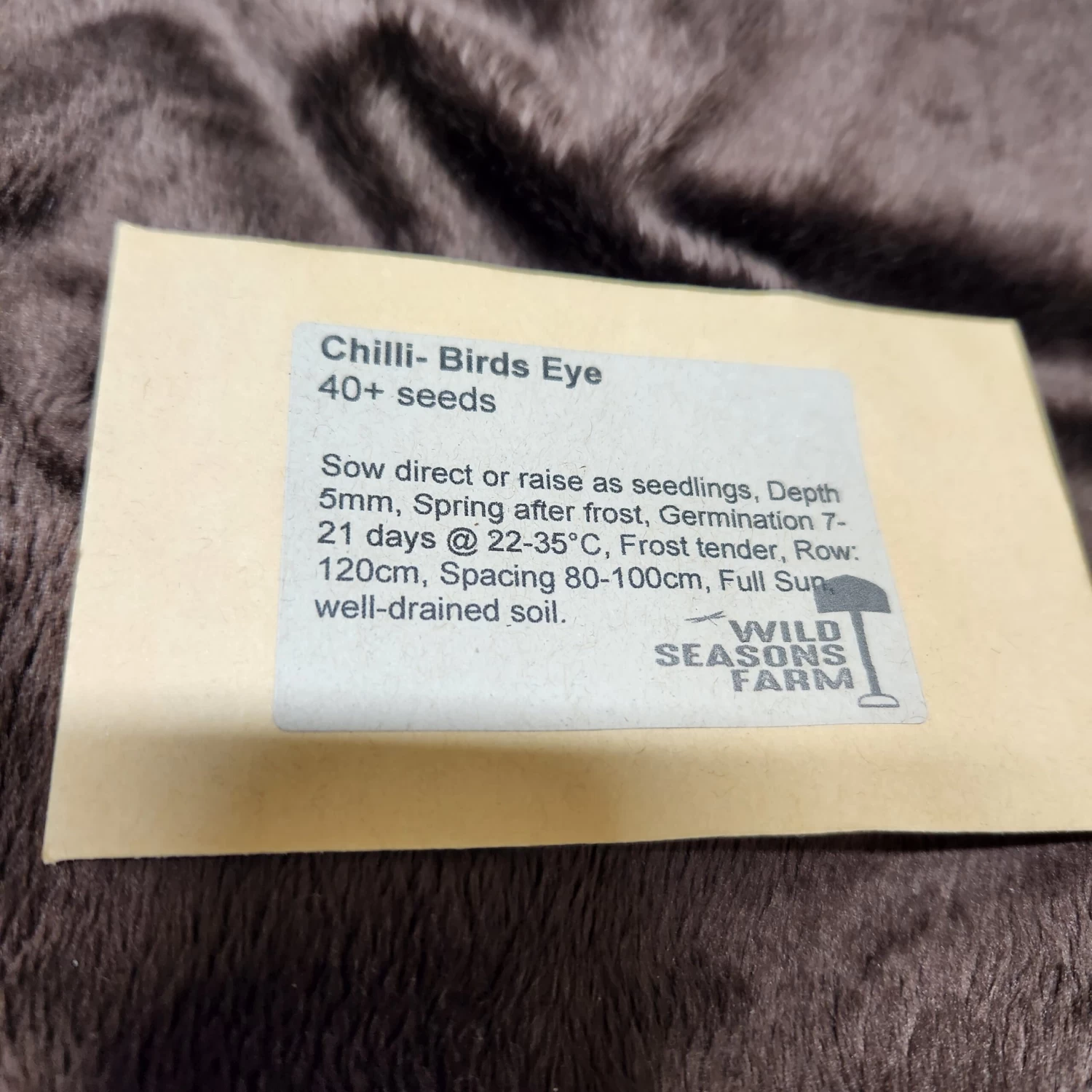 Chilli – Birds Eye Seeds 4 Chilli – Birds Eye Seeds - Image 2