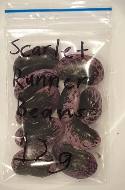 Organic Scarlet Runner Bean Seeds -Garden Fresh Shop 20240215 193812