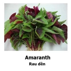 Amaranth Mixed Seeds