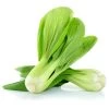 Bok Choy Seeds -Garden Fresh Shop 2206FBD8 7919 47D5 82D5 EE7EC7D29416