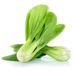 Bok Choy Seeds