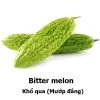 Bitter Melon Seeds -Garden Fresh Shop 240673851 999065667328947 5850567740703731604 n