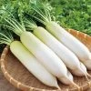White Radish Seeds -Garden Fresh Shop 2A714695 070E 4350 9583 E7B56CC9CB41