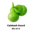 Calabash Seeds 1 Calabash Seeds -Garden Fresh Shop 2F79713C 963B 4CAF 850B 489958D034BE