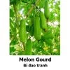 Melon Gourd Seeds 1 Melon Gourd Seeds -Garden Fresh Shop 728371B1 4FF7 4755 988B 7A1CD501163F