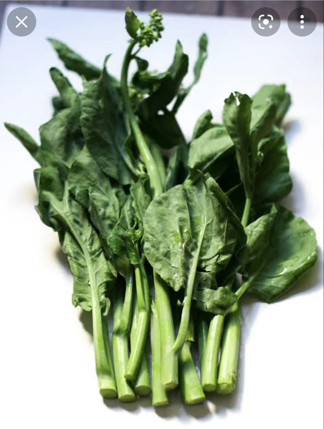 Chinese Broccoli / Kaillan / Cải Làm / Cải Rổ Seeds 3 Chinese Broccoli / Kaillan / Cải Làm / Cải Rổ Seeds