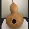 Birdhouse Gourd Seeds 1 Birdhouse Gourd Seeds -Garden Fresh Shop A12905AC C6FD 4653 9D77 6D64034FE241