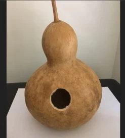 Birdhouse Gourd Seeds