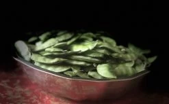 Organic Lablab Bean Vine Variety /Indian Bean/Avarakkai Seeds 15 Organic Lablab Bean Vine Variety /Indian Bean/Avarakkai Seeds -Garden Fresh Shop AE93F112 942A 4CE5 8200 02BFB89F6DB7 scaled 1