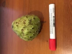 Other Custard Apple (Asian) Seeds