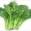 Flowering Choy Sum / Cải Ngồng Seeds -Garden Fresh Shop B00D03D5 38B5 4244 AE89 57214B5A5858