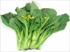 Flowering Choy Sum / Cải Ngồng Seeds