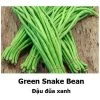 Snake Bean Seeds 2 Snake Bean Seeds -Garden Fresh Shop B020035C E132 4168 8567 A0CDF968406B