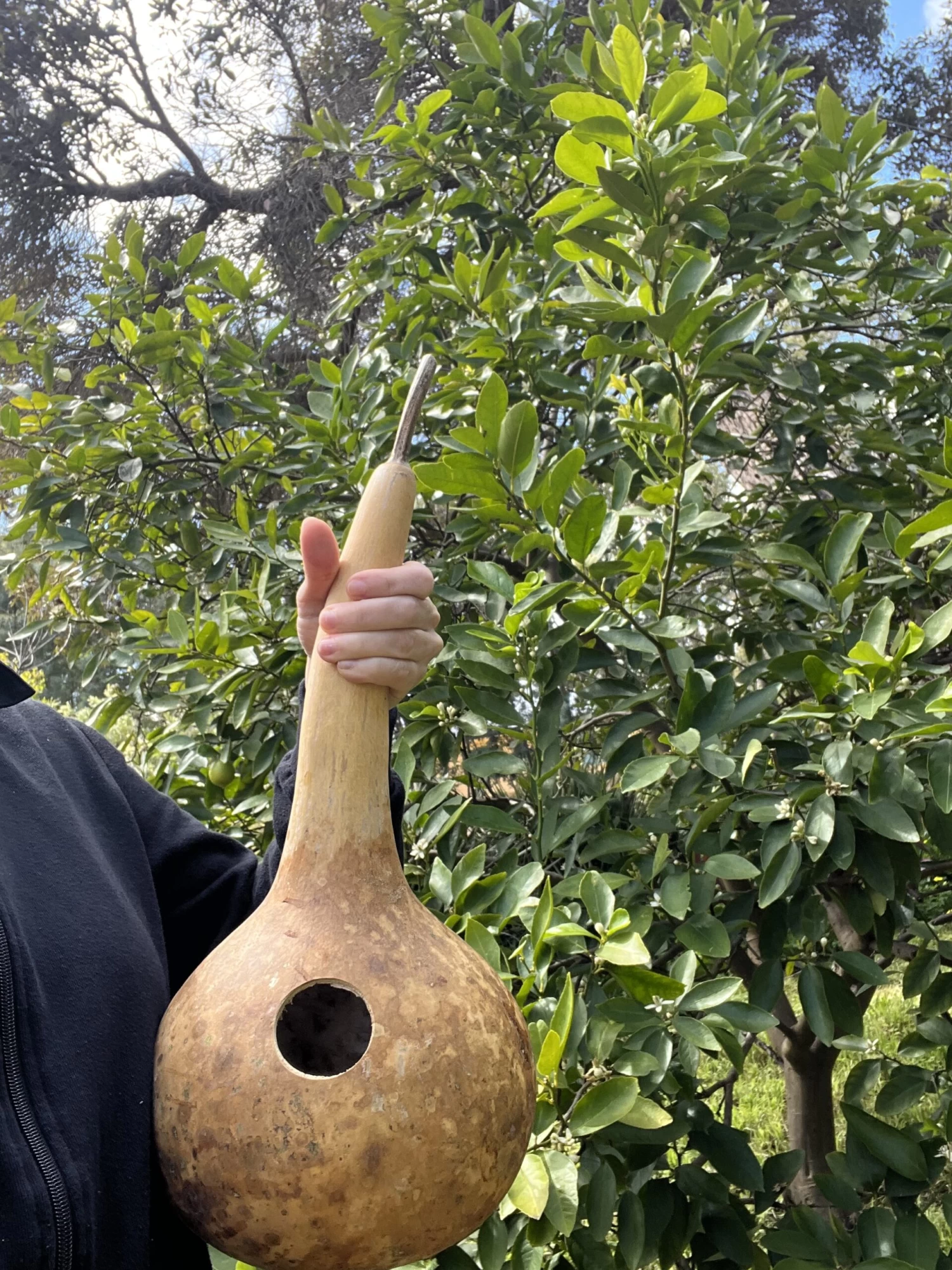 Gourd – Short Handle Dipper Seeds 4 Gourd – Short Handle Dipper Seeds - Image 2