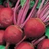 Beetroot Perfect 3 Seeds 2 Beetroot Perfect 3 Seeds -Garden Fresh Shop BEETROOT PERFECT 3
