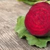Beetroot Early Wonder Seeds 1 Beetroot Early Wonder Seeds -Garden Fresh Shop Beetroot Early wonder seeds