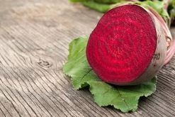 Beetroot Early Wonder Seeds