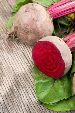 Garden Fresh Shop -Garden Fresh Shop Beetroot Early wonder seeds2