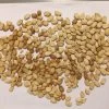 Bitter Gourd Seeds -Garden Fresh Shop Bitter Gourd seeds 1