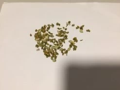 Other Calamansi Seeds