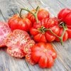 Tomato Costa Luta Seeds -Garden Fresh Shop Costaluta