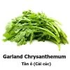 Crown Daisy / Garland Chrysanthemum / Cải Cúc / Tần ô Seeds -Garden Fresh Shop D8BC8195 7E83 4C54 8442 CF5F253D0084