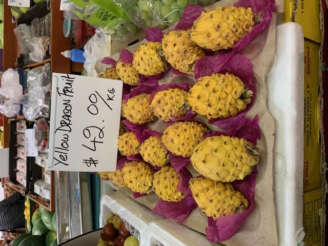 2 Yellow Skin White Flesh (YSWF) Dragon Fruit Plants 3 2 Yellow Skin White Flesh (YSWF) Dragon Fruit Plants