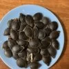 Shark Fin Melon/ Bí Vi Cá Seeds -Garden Fresh Shop EC1DA679 773E 46EF BBDA FFFAB9C5645C scaled 1