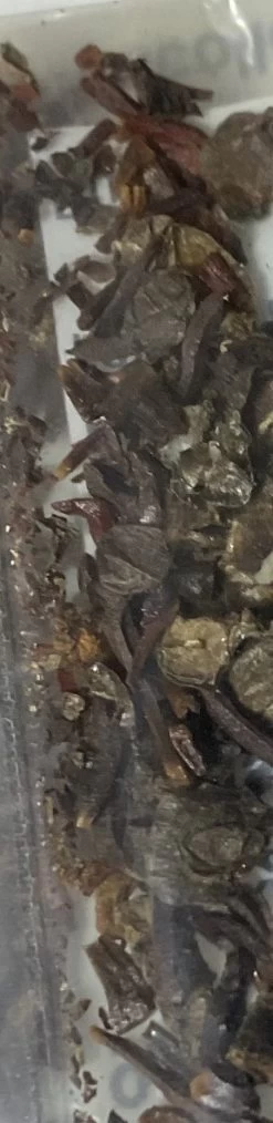 Eucalyptus Macrocarpa – Rose Of The West Seeds -Garden Fresh Shop Eucalyptus Macrocarpa – Rose Of The West SEED 1