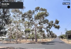 Eucalyptus Citriodora – Lemon Scented Gum, Salmon Trunk Seeds -Garden Fresh Shop Eucalyptus citriodoras at Gunnedah NSW 2022a 2