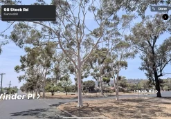 Eucalyptus Citriodora – Lemon Scented Gum, Salmon Trunk Seeds -Garden Fresh Shop Eucalyptus citriodoras at Gunnedah NSW 2022a 3