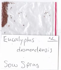 Eucalyptus Desmondensis – Desmond’s Mallee Seeds -Garden Fresh Shop Eucalyptus desmondensis Desmonds Mallee SEED