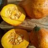 Lakota Pumpkin Seeds -Garden Fresh Shop IMG20230528113635 scaled 1