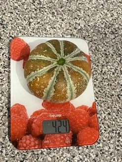 Kajari Melon / Indian Rockmelon Seeds 9 Kajari Melon / Indian Rockmelon Seeds -Garden Fresh Shop IMG 1100 scaled 1