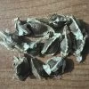 Other Moringa Seeds 2 Other Moringa Seeds -Garden Fresh Shop IMG 1134 scaled 1